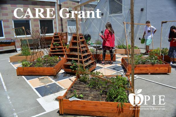 care grants