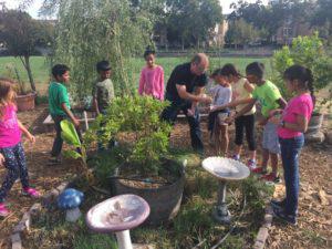 DPIE Fall 2017 Afterschool STEAM Classes Open for Enrollment